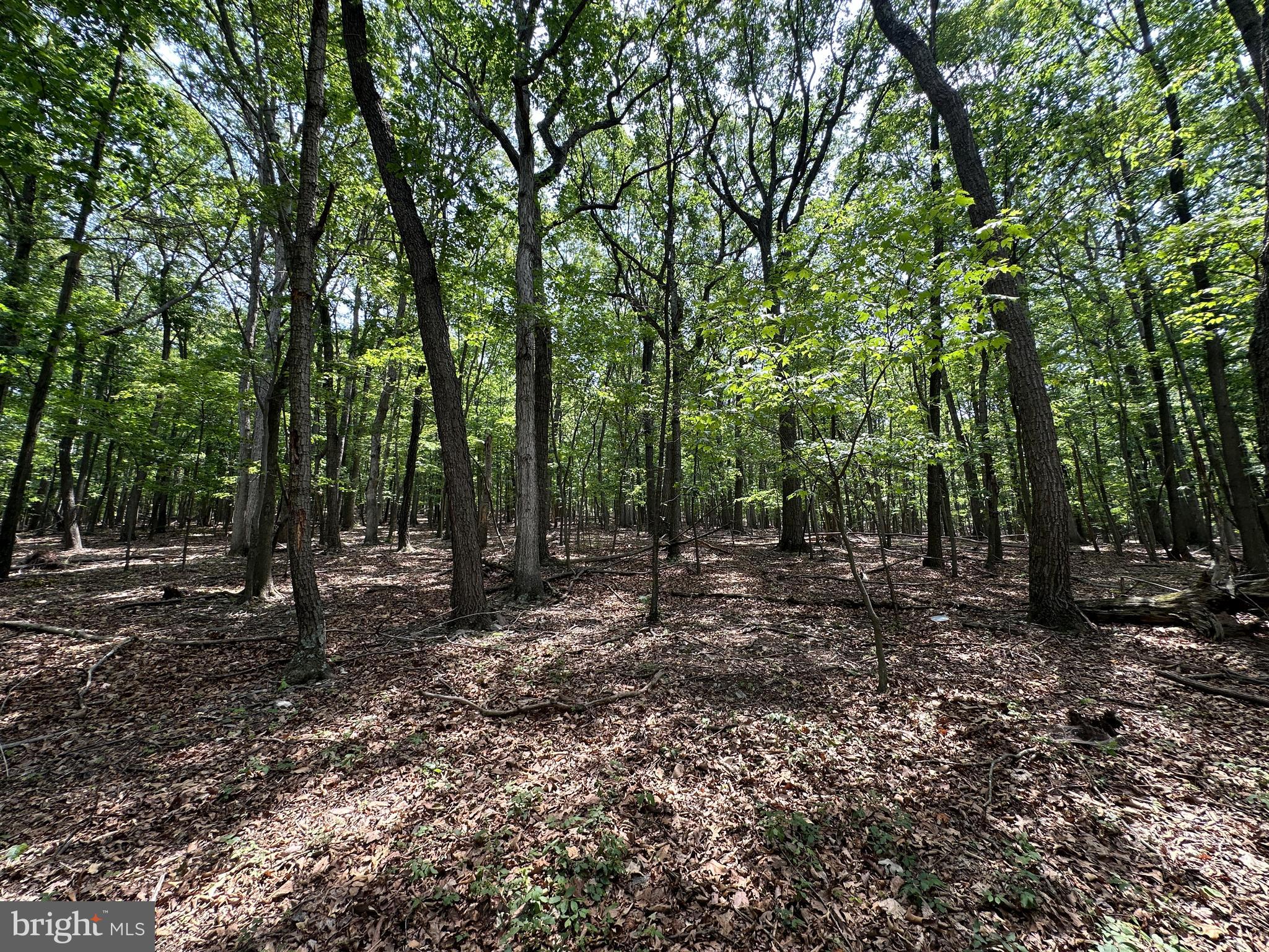 EAGLE MOUNTAIN - Land