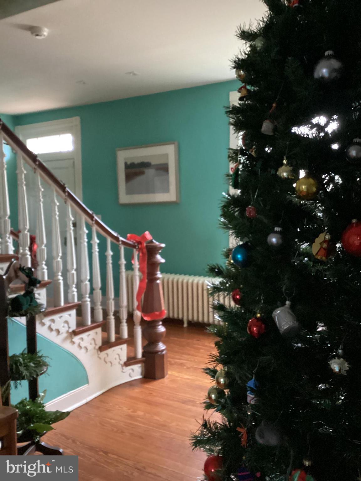 HISTORIC CHESTERTOWN - Residential