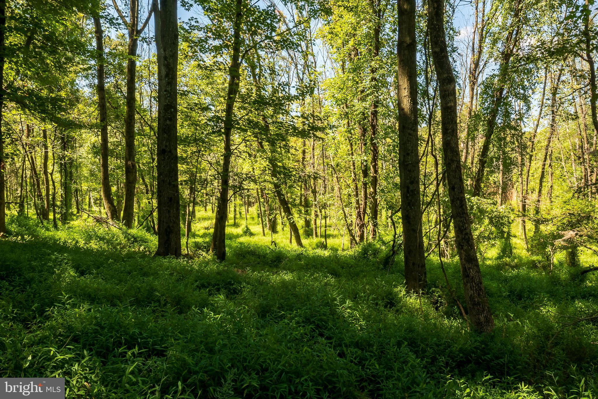 HUNT COUNTRY ESTATES - Residential