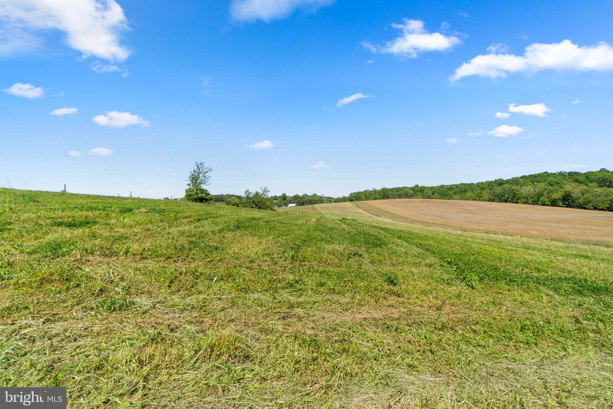 Brown Farm Lot #1 CROSS SECTION RD (NEAR 2341 CROSS SECTION RD)