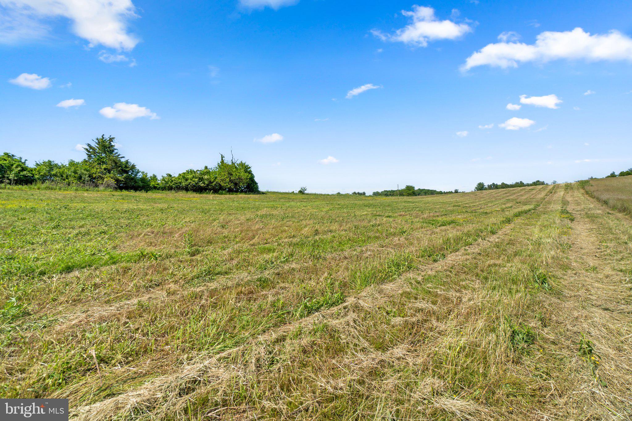 NONE AVAILABLE - Land