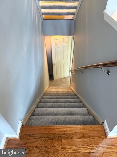 ARLINGTON RUN - Residential Lease