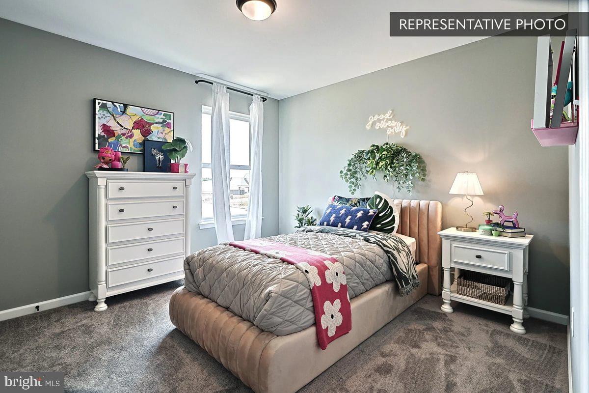 SHADY LANE ESTATES - Residential