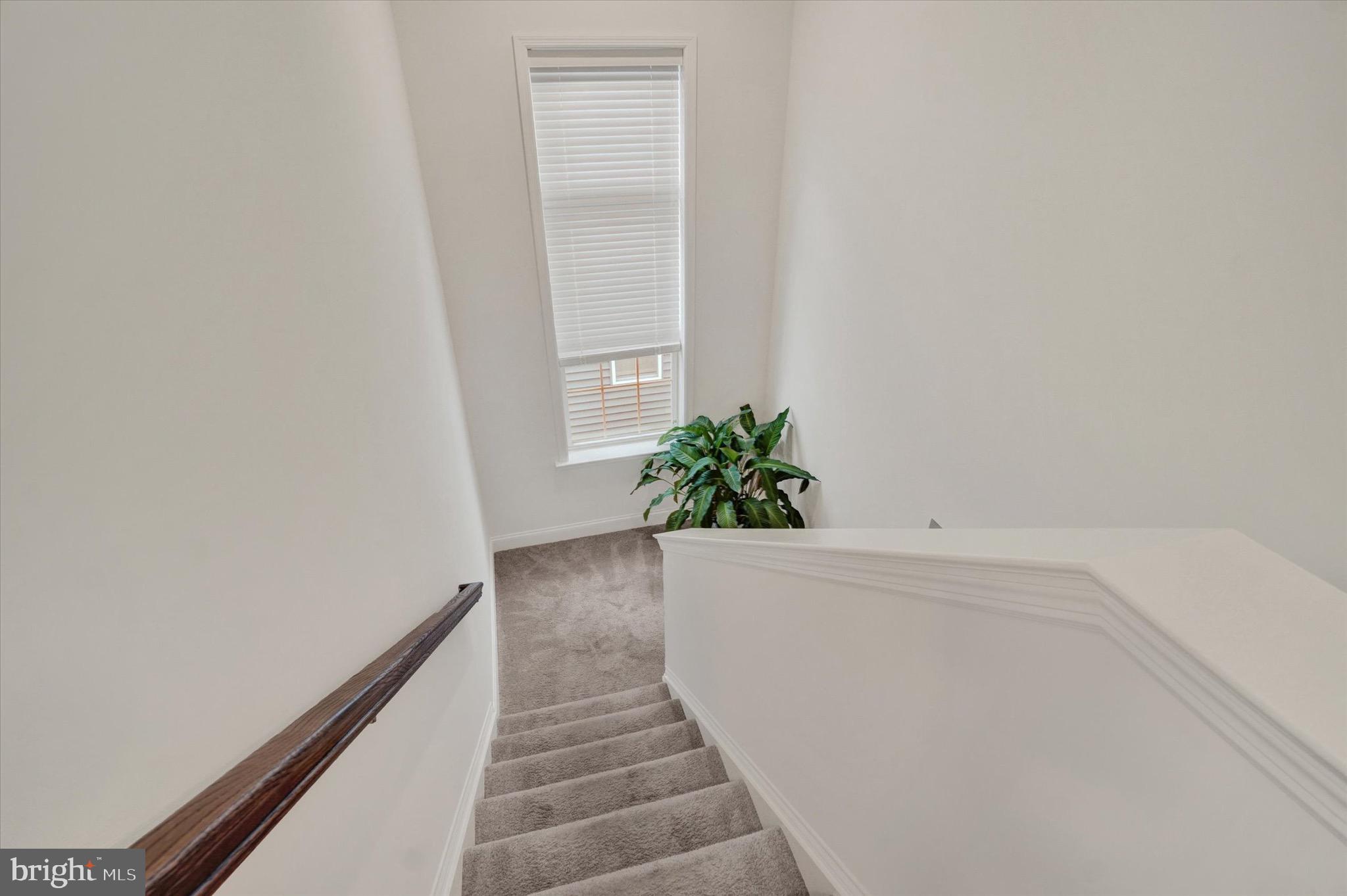 ARCONA - Residential