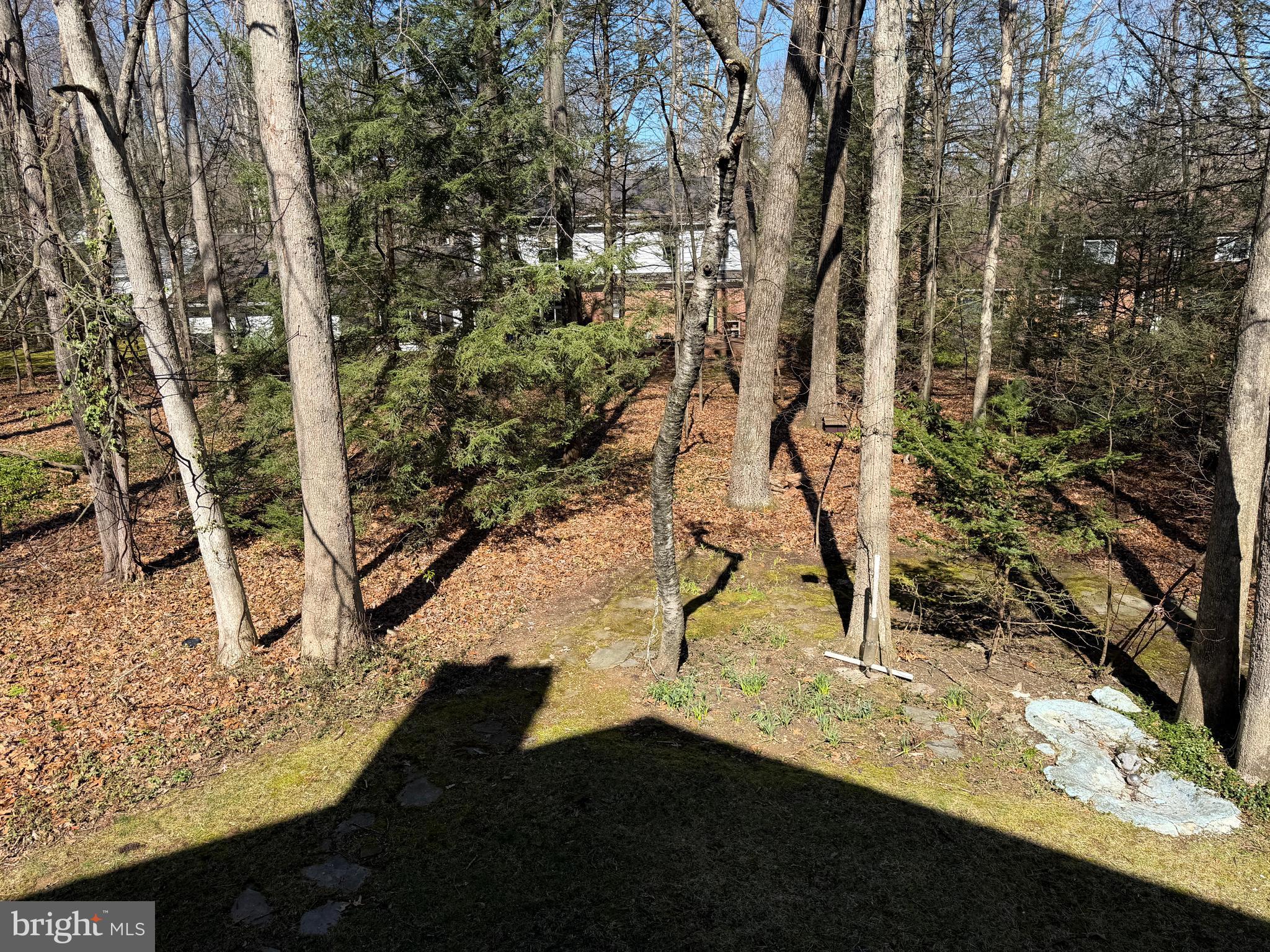 PARK FOREST VILLAGE - Residential