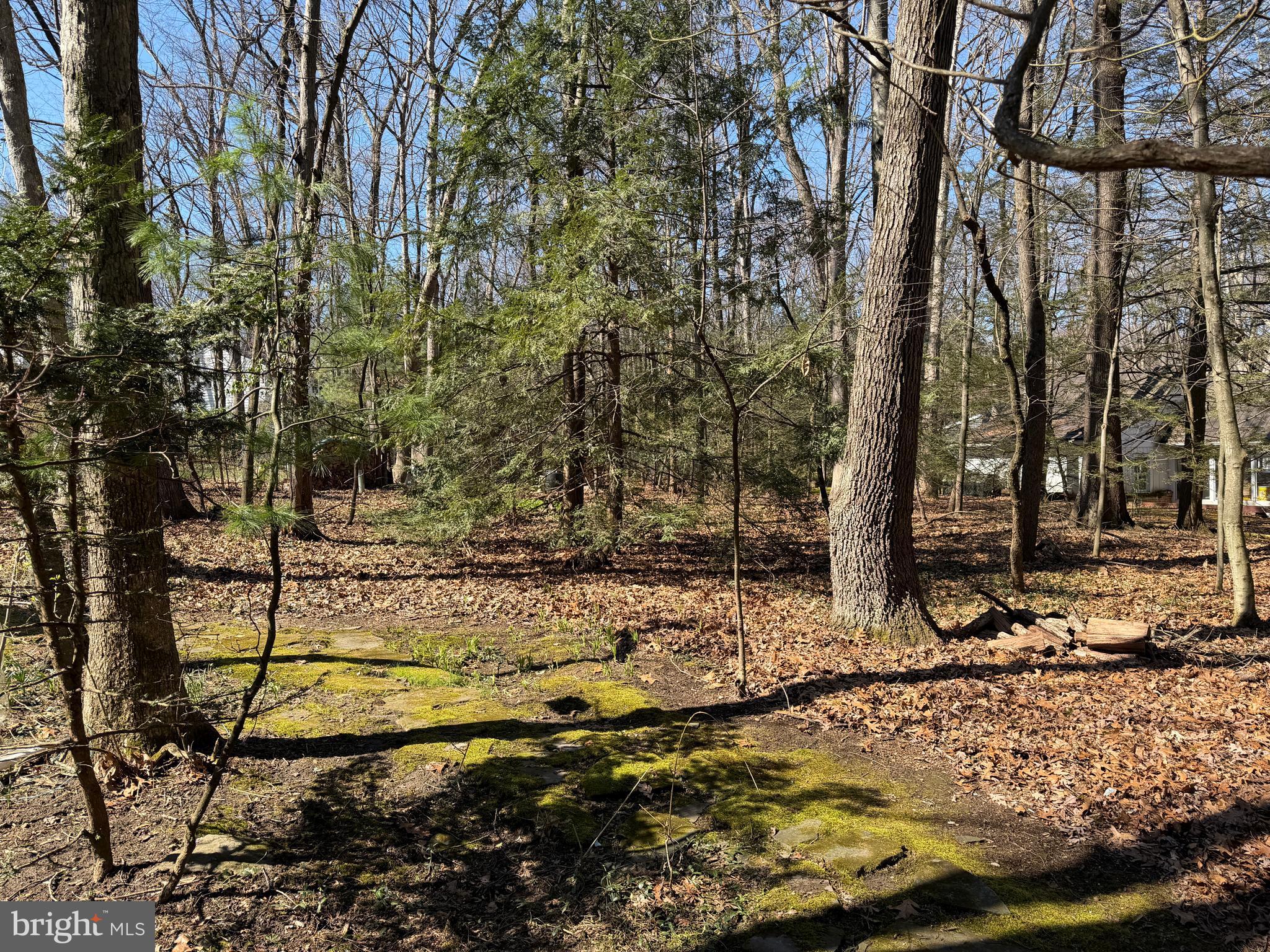 PARK FOREST VILLAGE - Residential