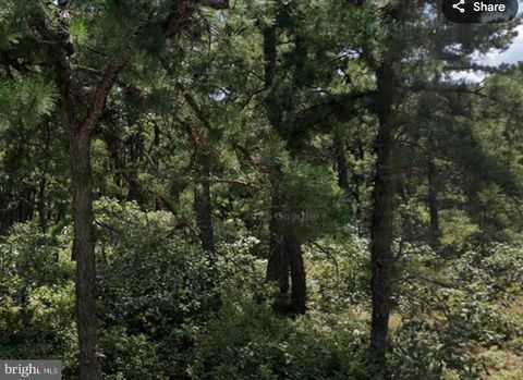 L5 MARGARET STREET BROWNS MILLS NJ 08015