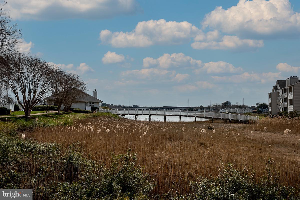 PINE CONE HARBOR - Residential