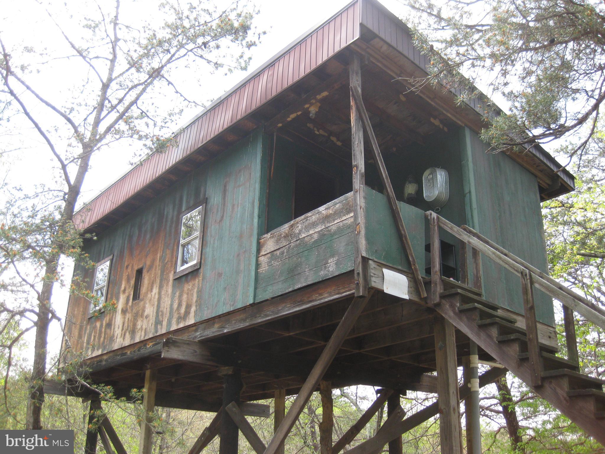 Ideal for recreation and relaxation.! Cheaper than joining a hunt club! Unique Hunting/Recreation Camp. Very private/secluded wooded 12.06 acres in the WV mountains. Year-round spring, and several wet water streams. Unrestricted and perfect for hiking, camping, or hunting with three deluxe cabin/tree stands! Must see to appreciate all this property has to offer. Great place to just get away from the hustle and bustle and enjoy peaceful setting and abundant wildlife. (Owner is VA Realtor)