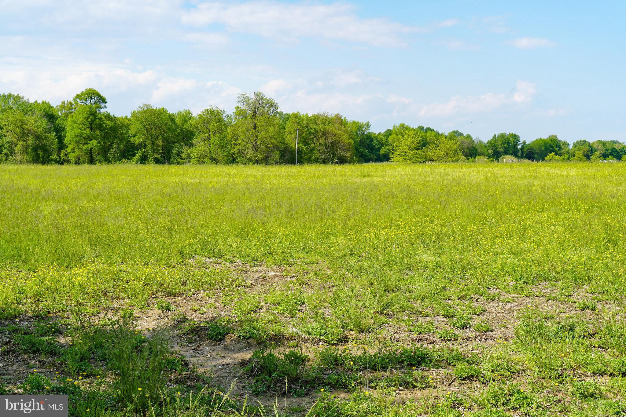 PRICE STATION - Farm