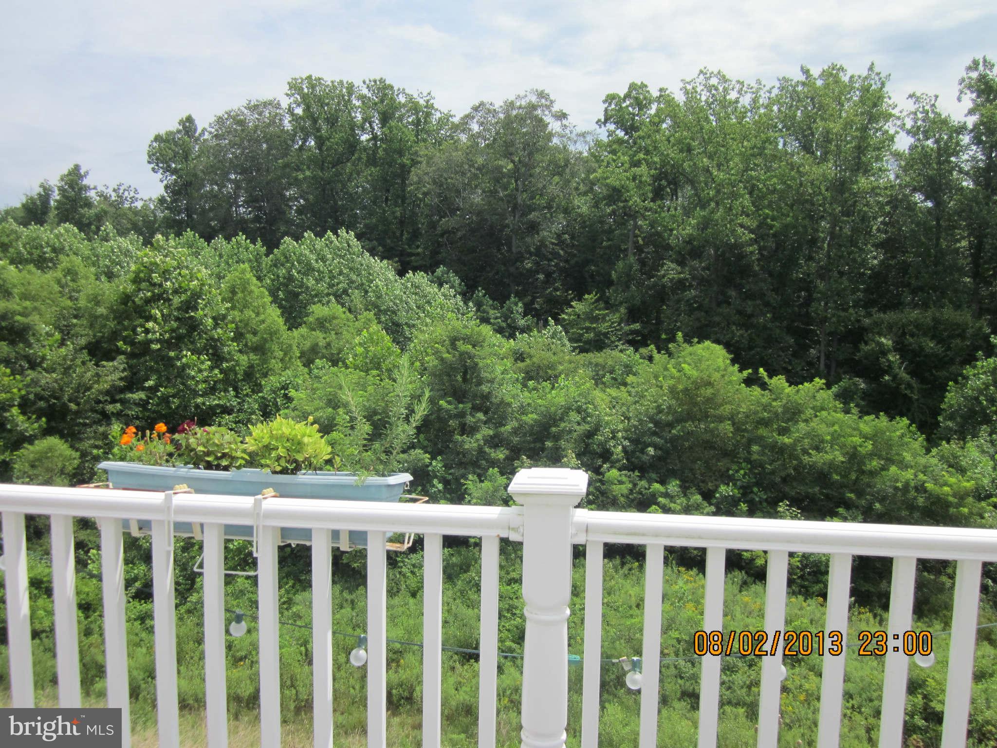 BULLE ROCK - Residential Lease