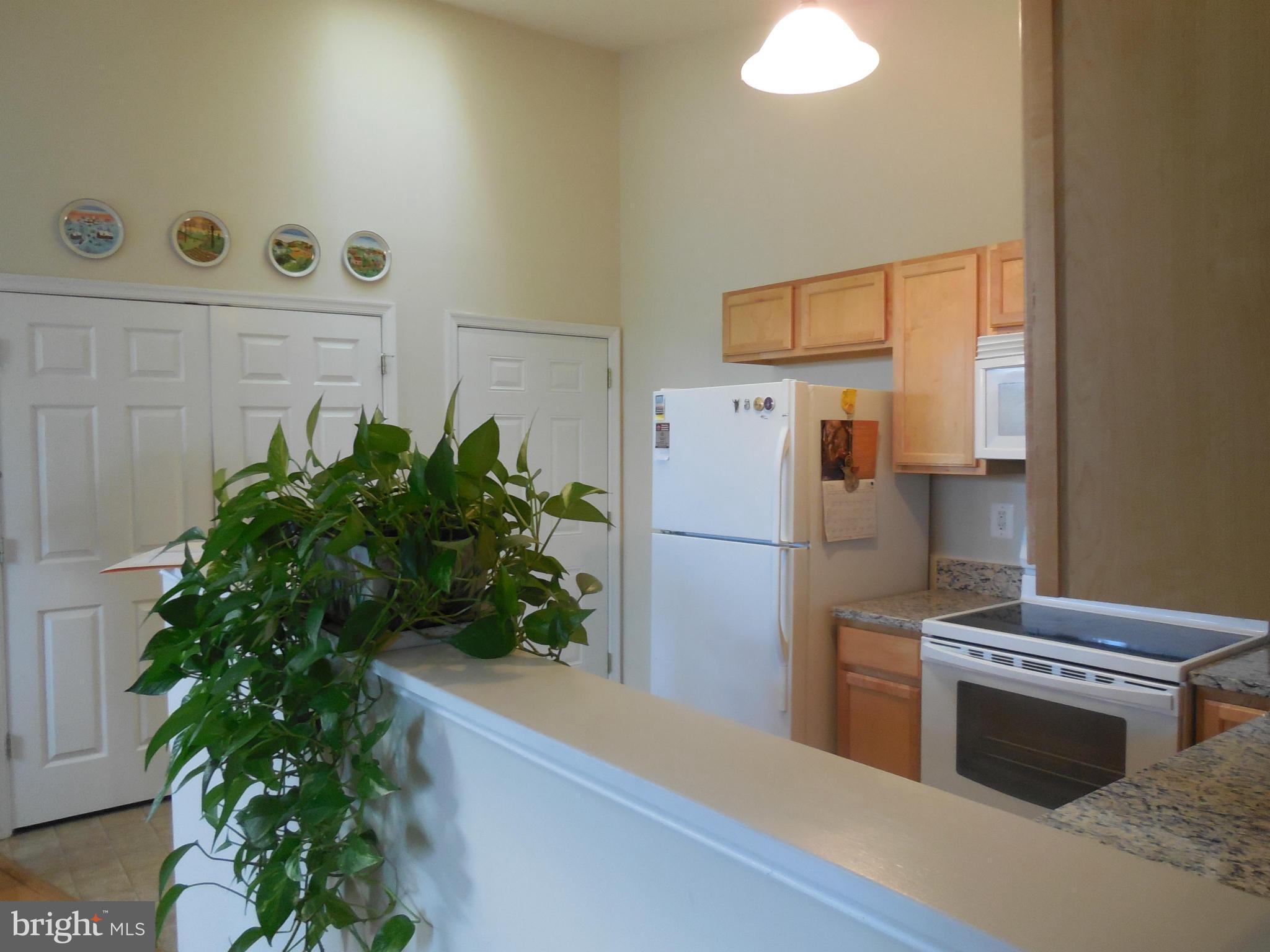 VILLAGE COMMONS - Residential