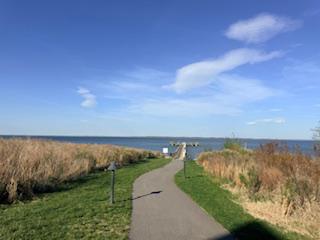 FOUR SEASONS AT KENT ISLAND - Residential