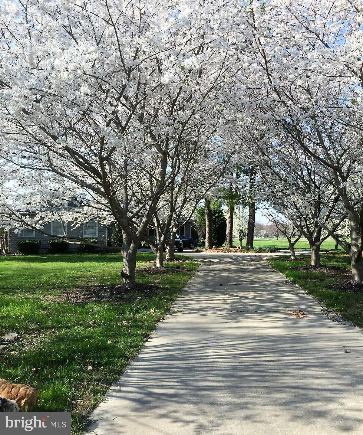 PROSPECT BAY - Residential