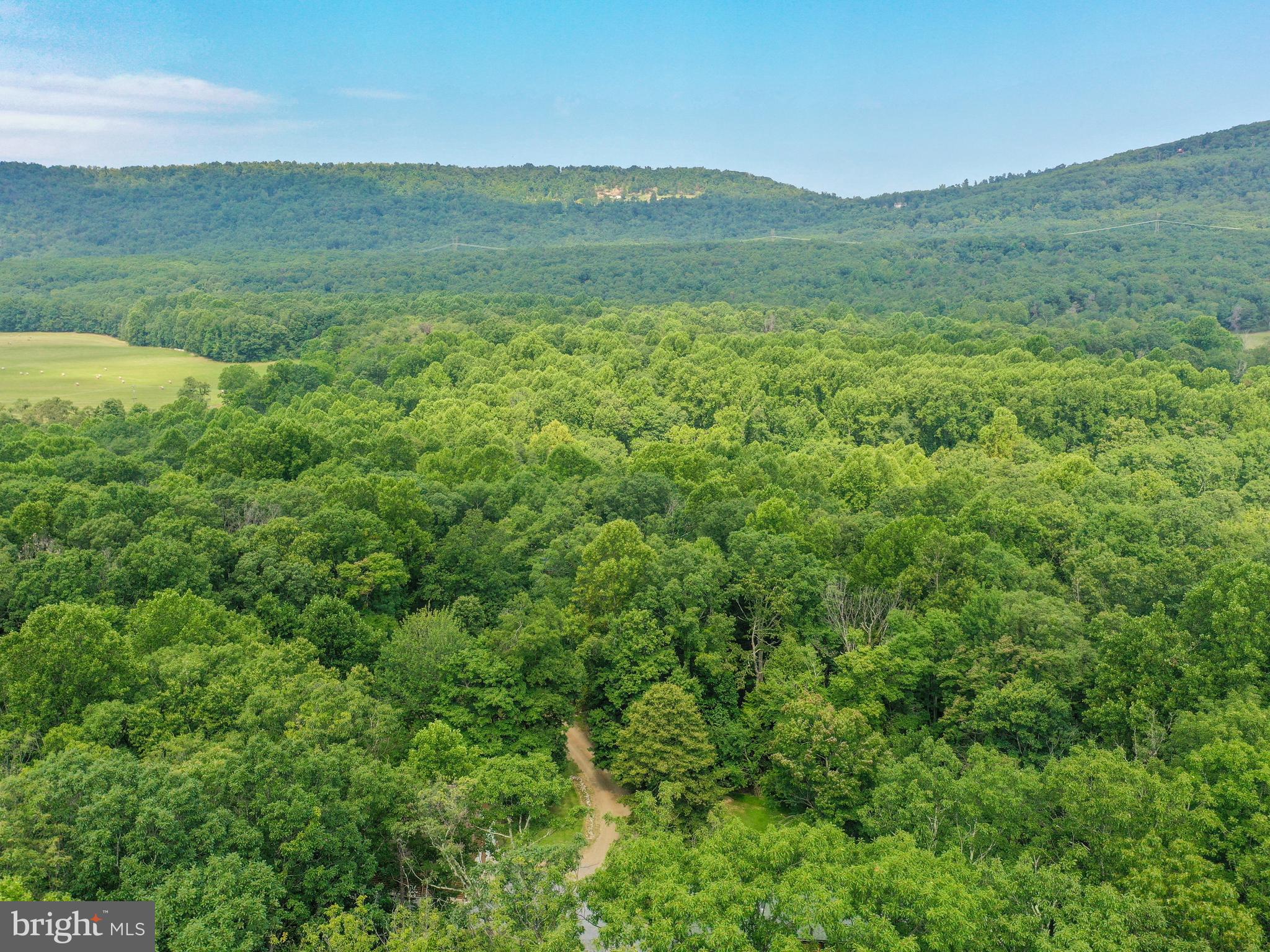 OWL HOLLOW CABINS - Residential