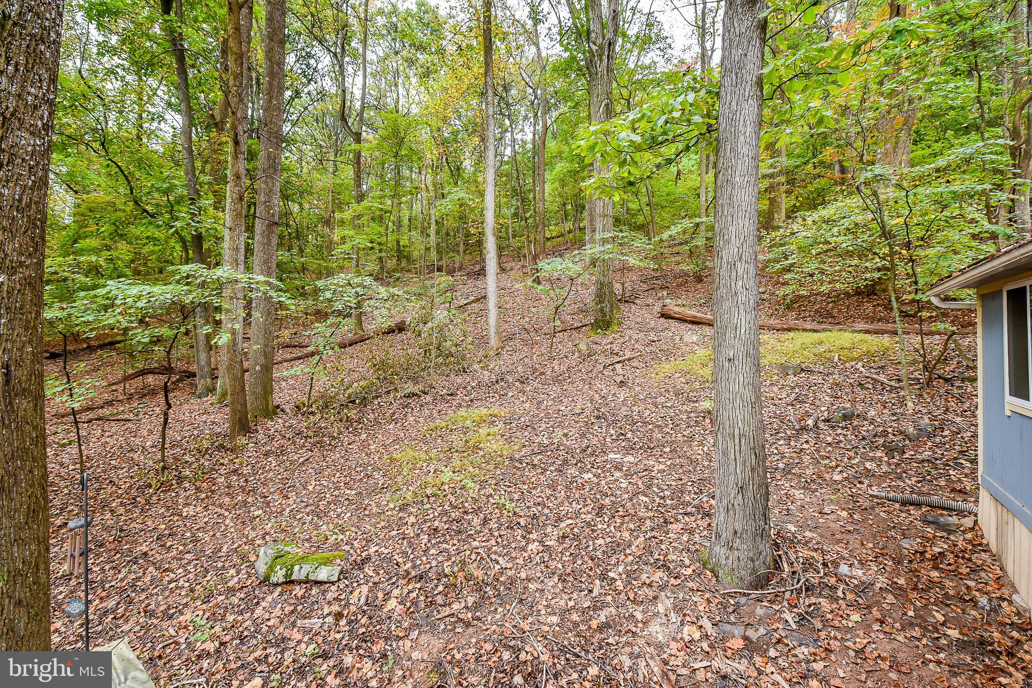 SLEEPY HOLLOW - Residential