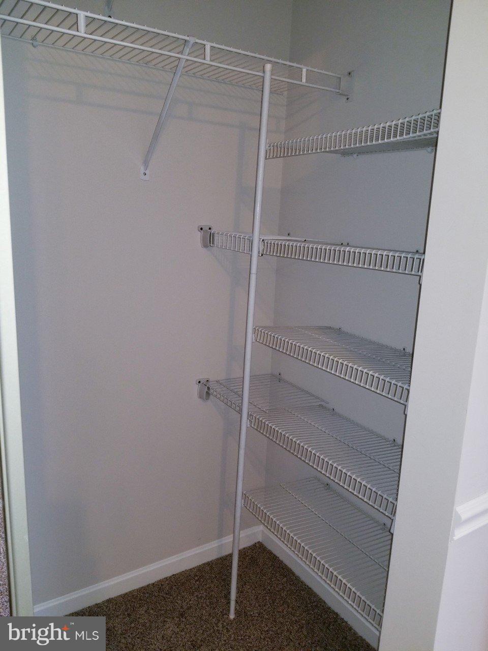 CEDAR GROVE AT CROFTON - Residential