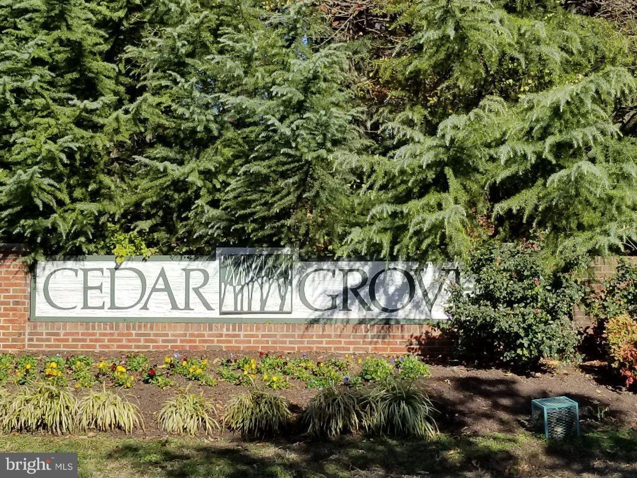 CEDAR GROVE AT CROFTON - Residential