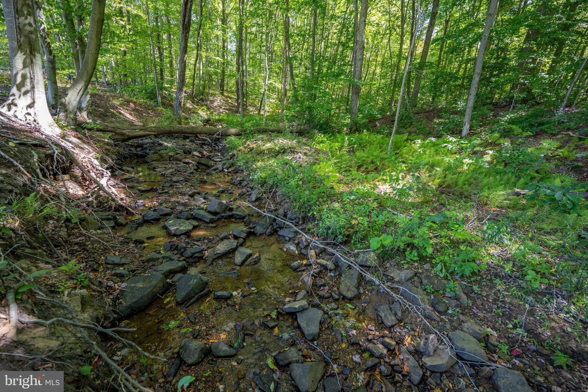 DEVILS HALF ACRE - Residential