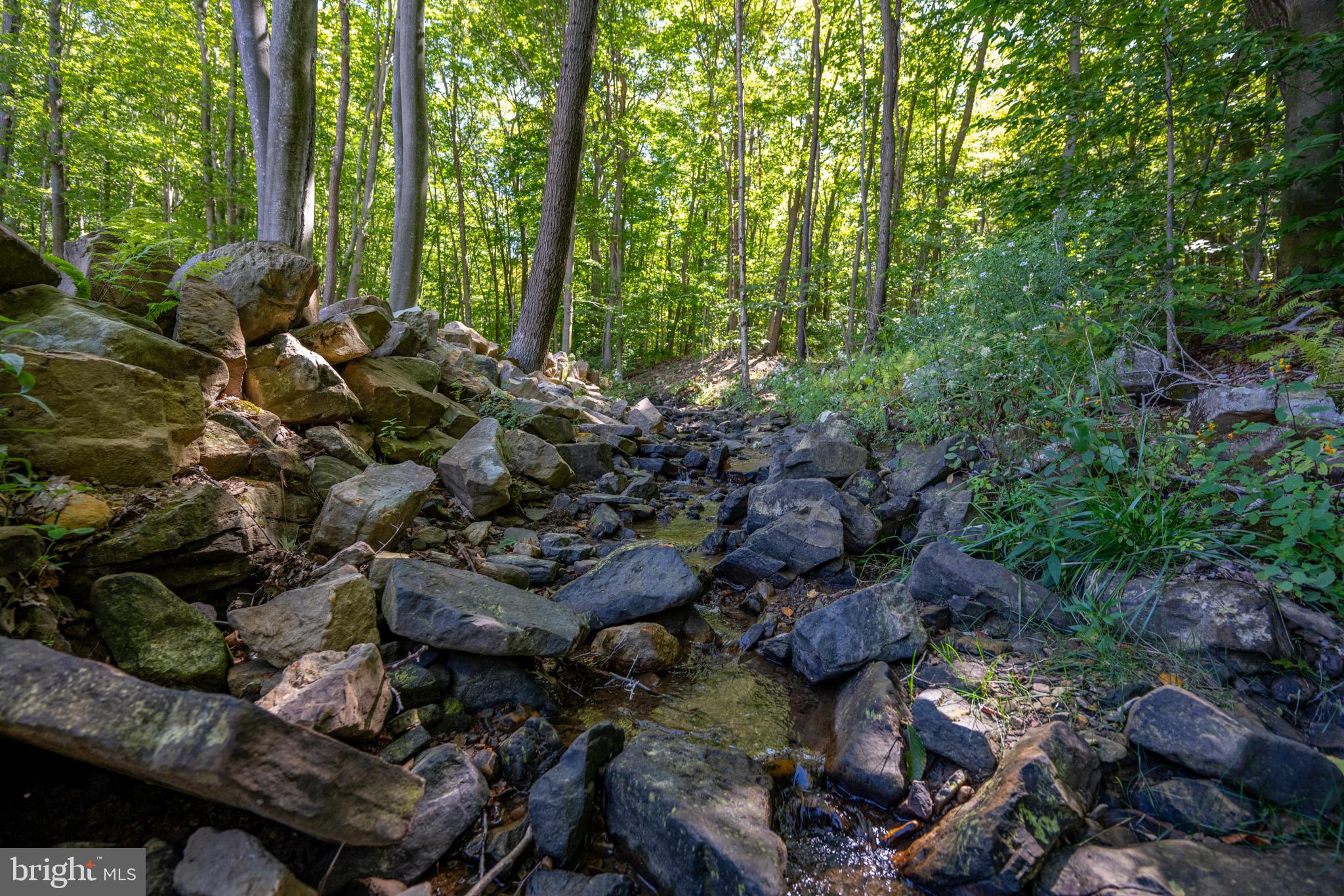 DEVILS HALF ACRE - Residential