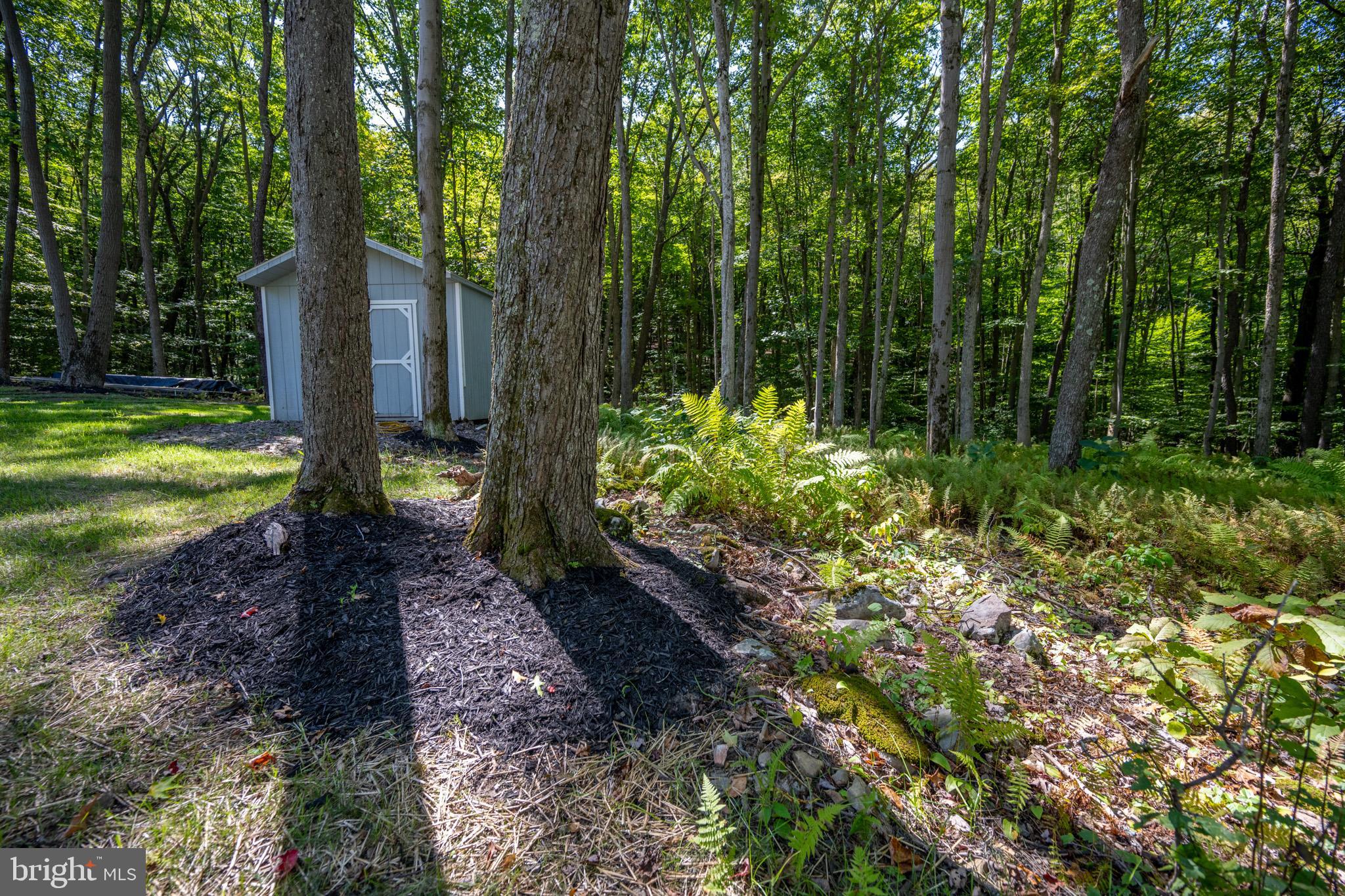 DEVILS HALF ACRE - Residential