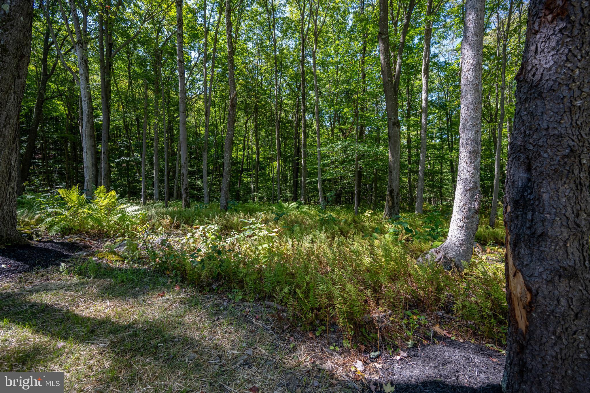 DEVILS HALF ACRE - Residential