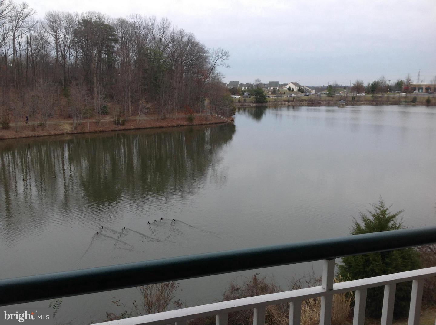 CHANCERY OF KINGSTOWNE - Residential