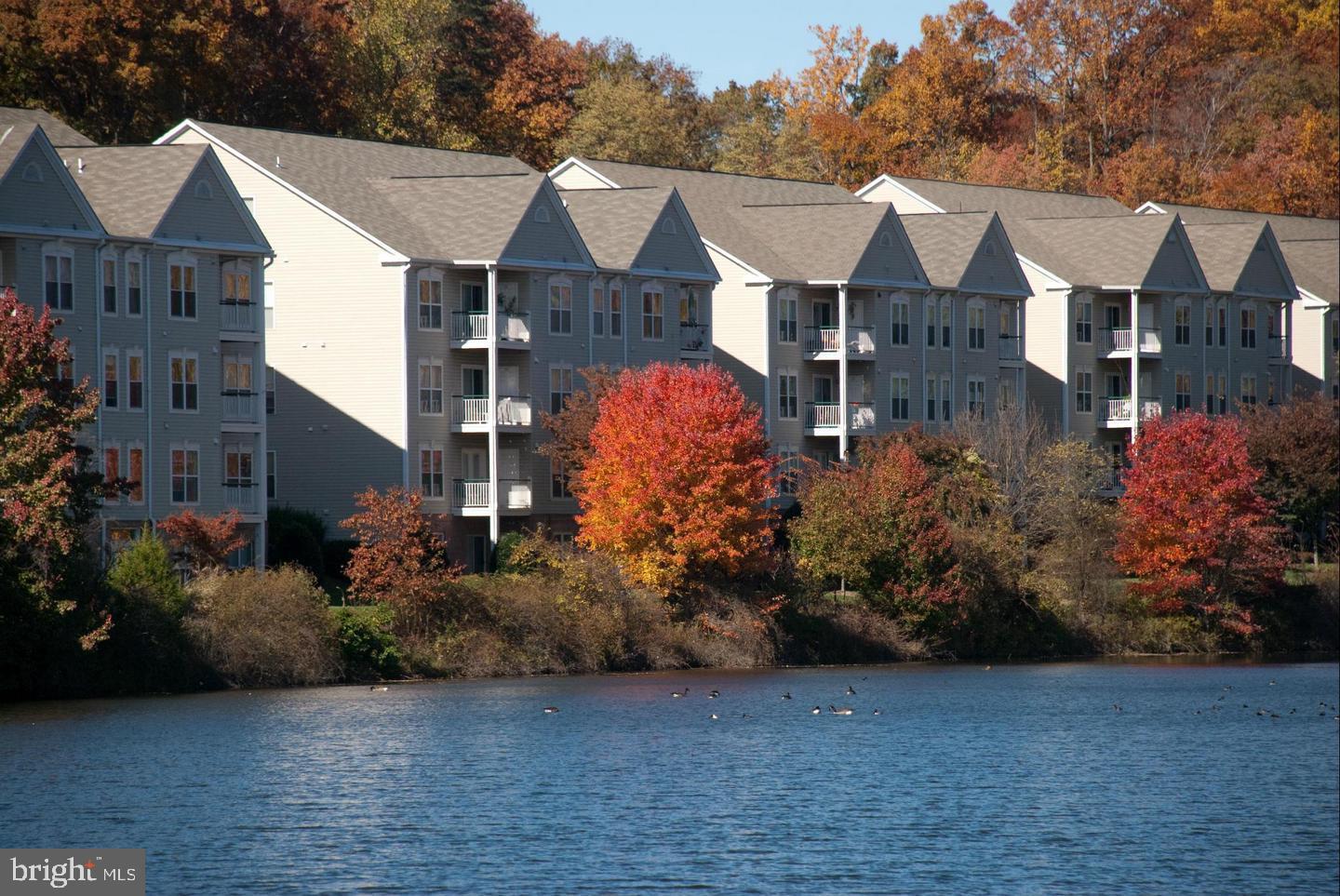 CHANCERY OF KINGSTOWNE - Residential