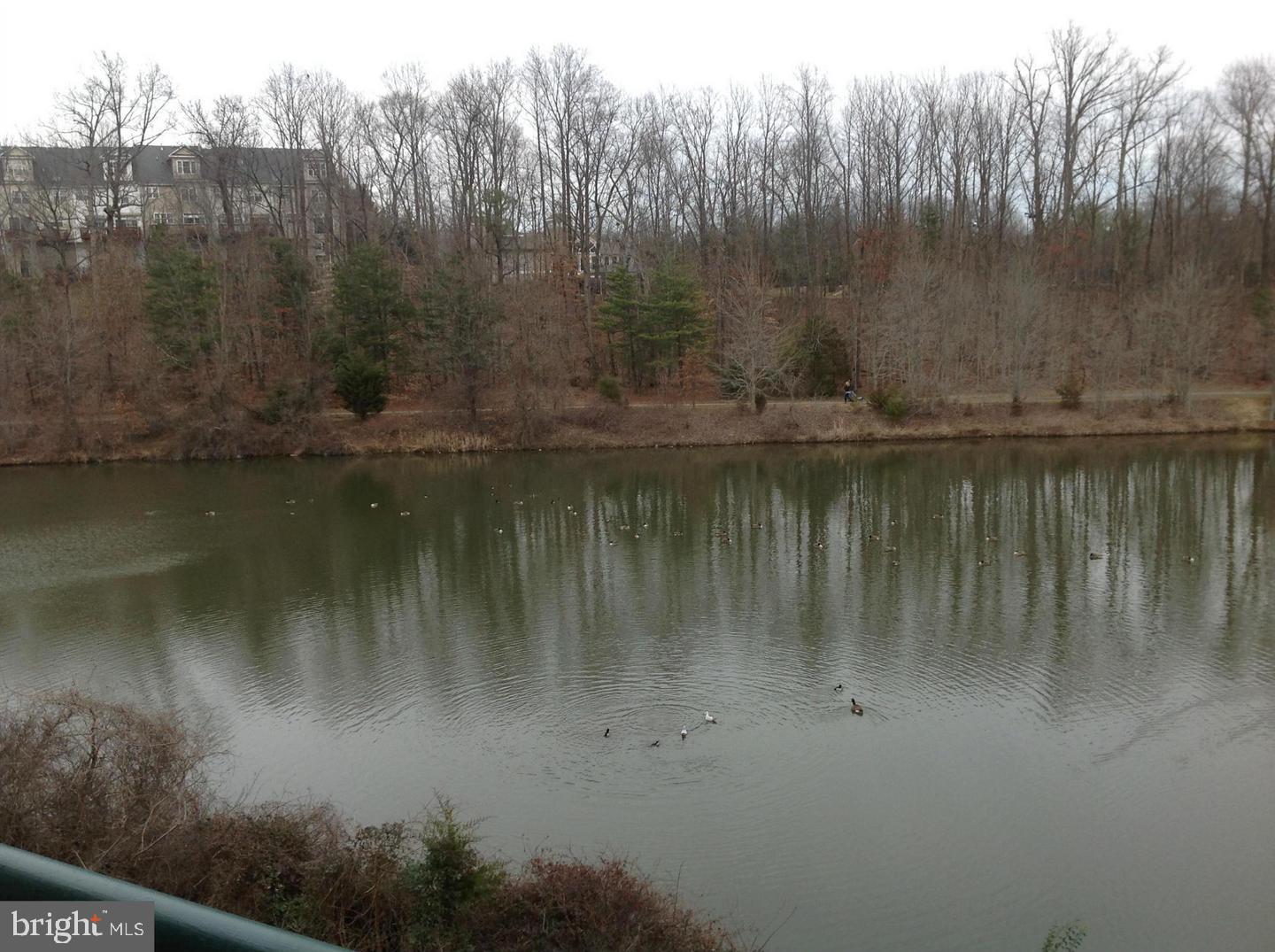 CHANCERY OF KINGSTOWNE - Residential