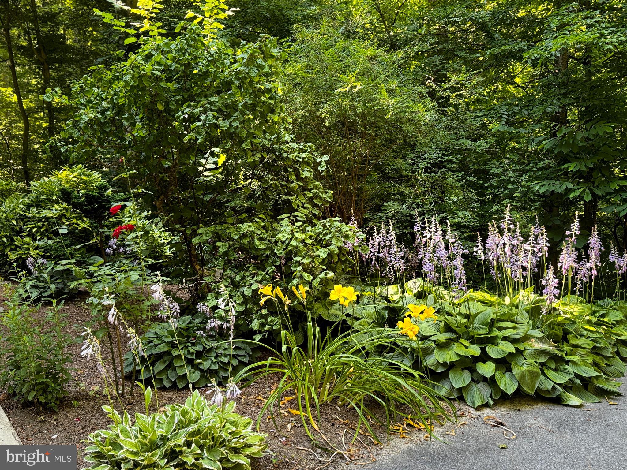 THE MEADOWS - Residential