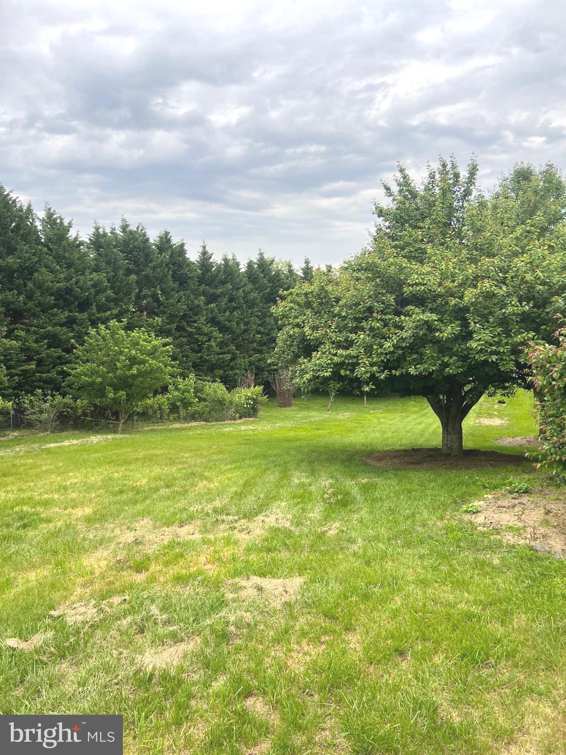 WINFIELD - Residential Lease