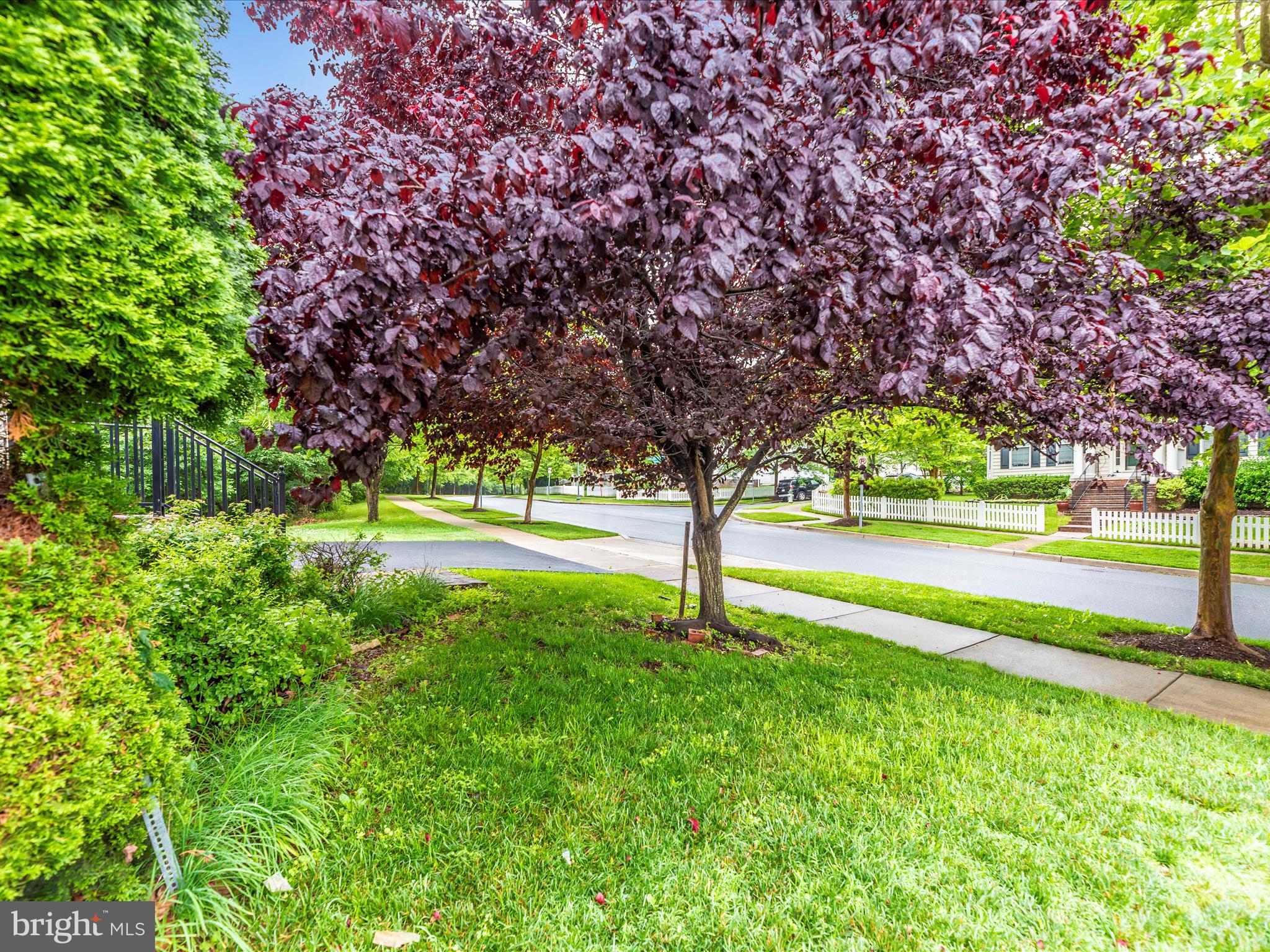 CLARKSBURG VILLAGE - Residential