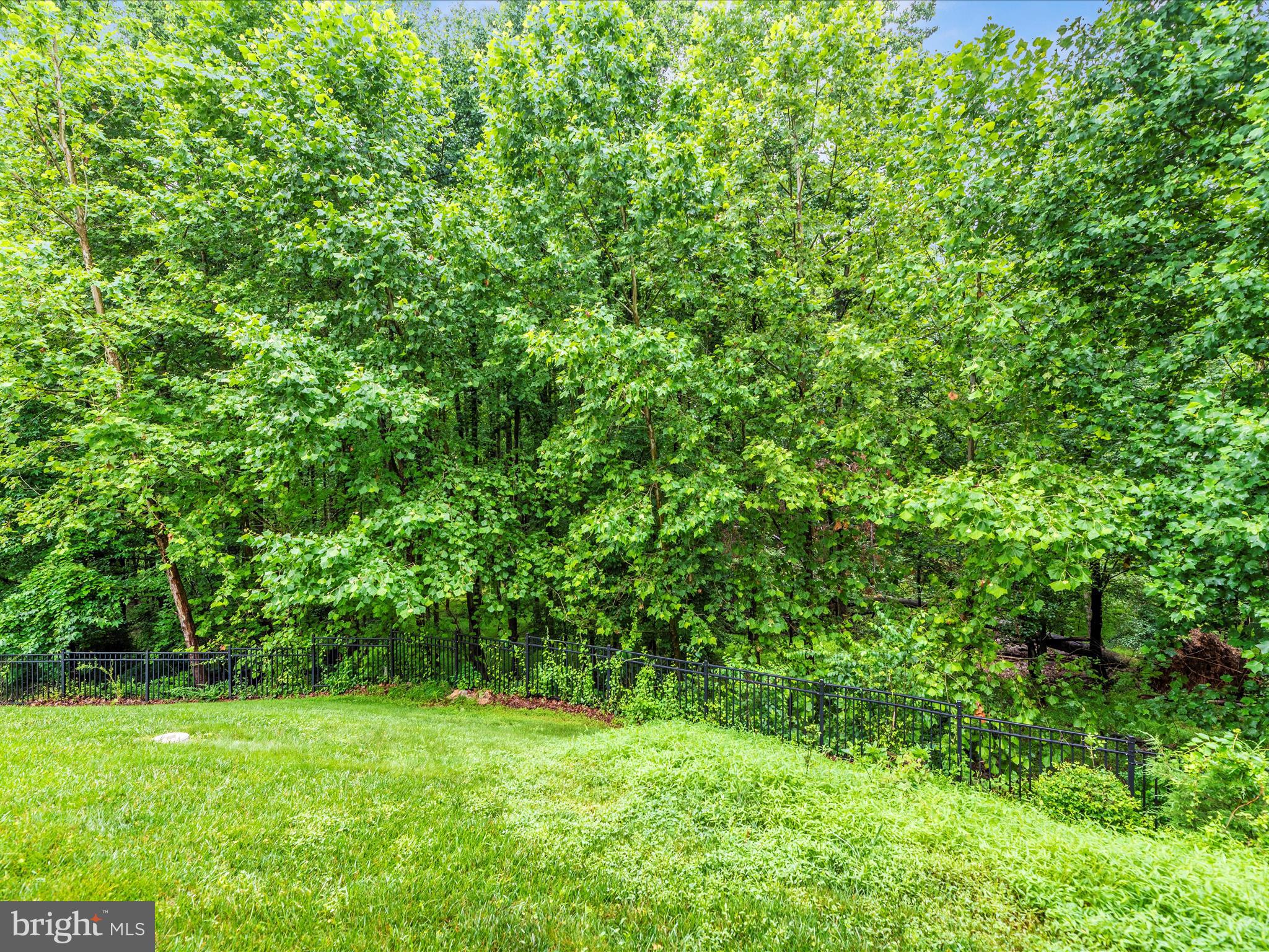 CLARKSBURG VILLAGE - Residential