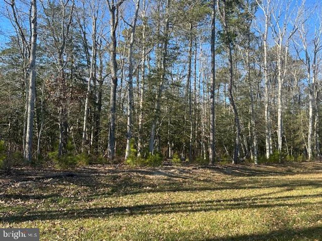 Photo of 34048 Skyflower Loop, LEWES, DE 19958 (MLS # DESU2102462)