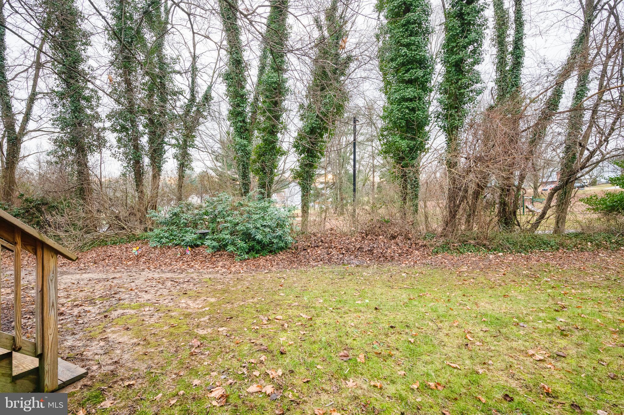 WHITE OAK - Residential