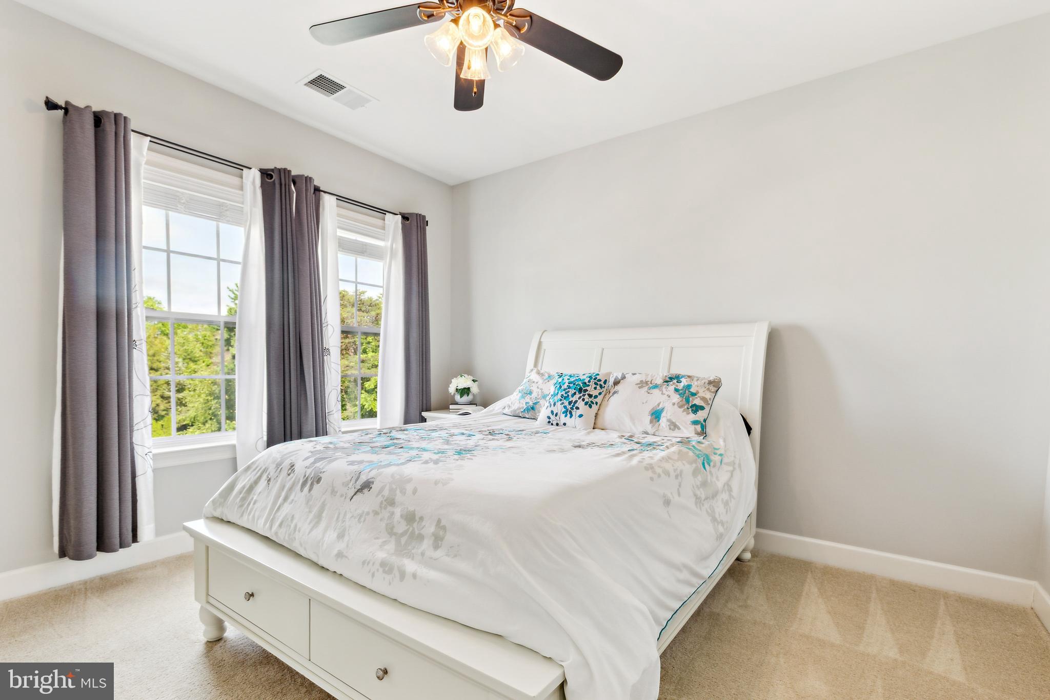 GREENE MILL PRESERVE - Residential