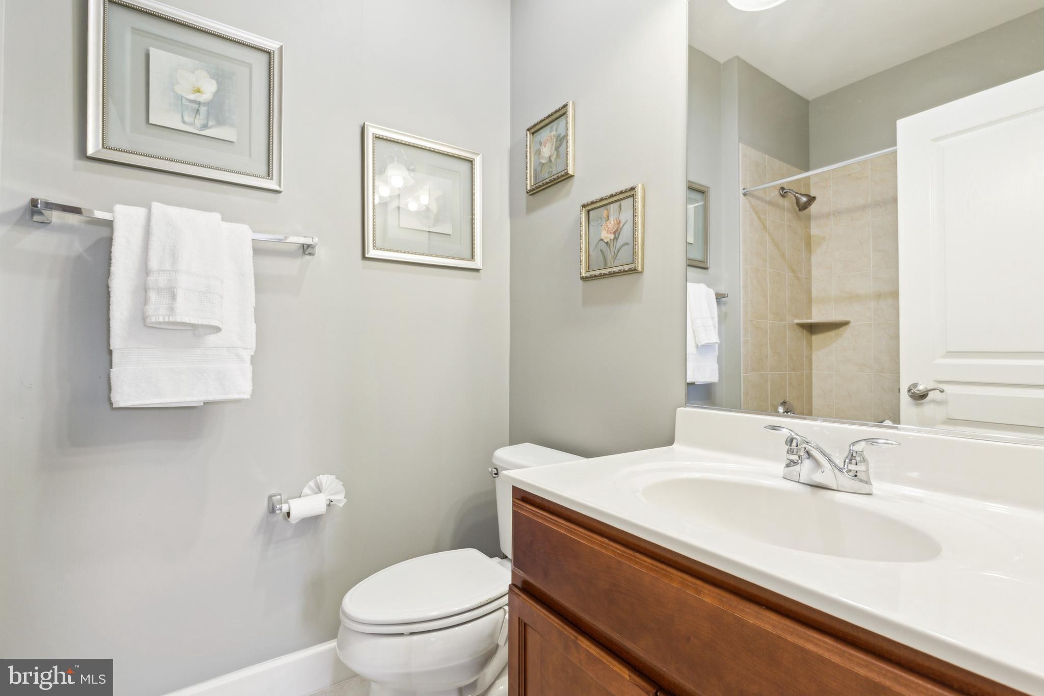 GREENE MILL PRESERVE - Residential