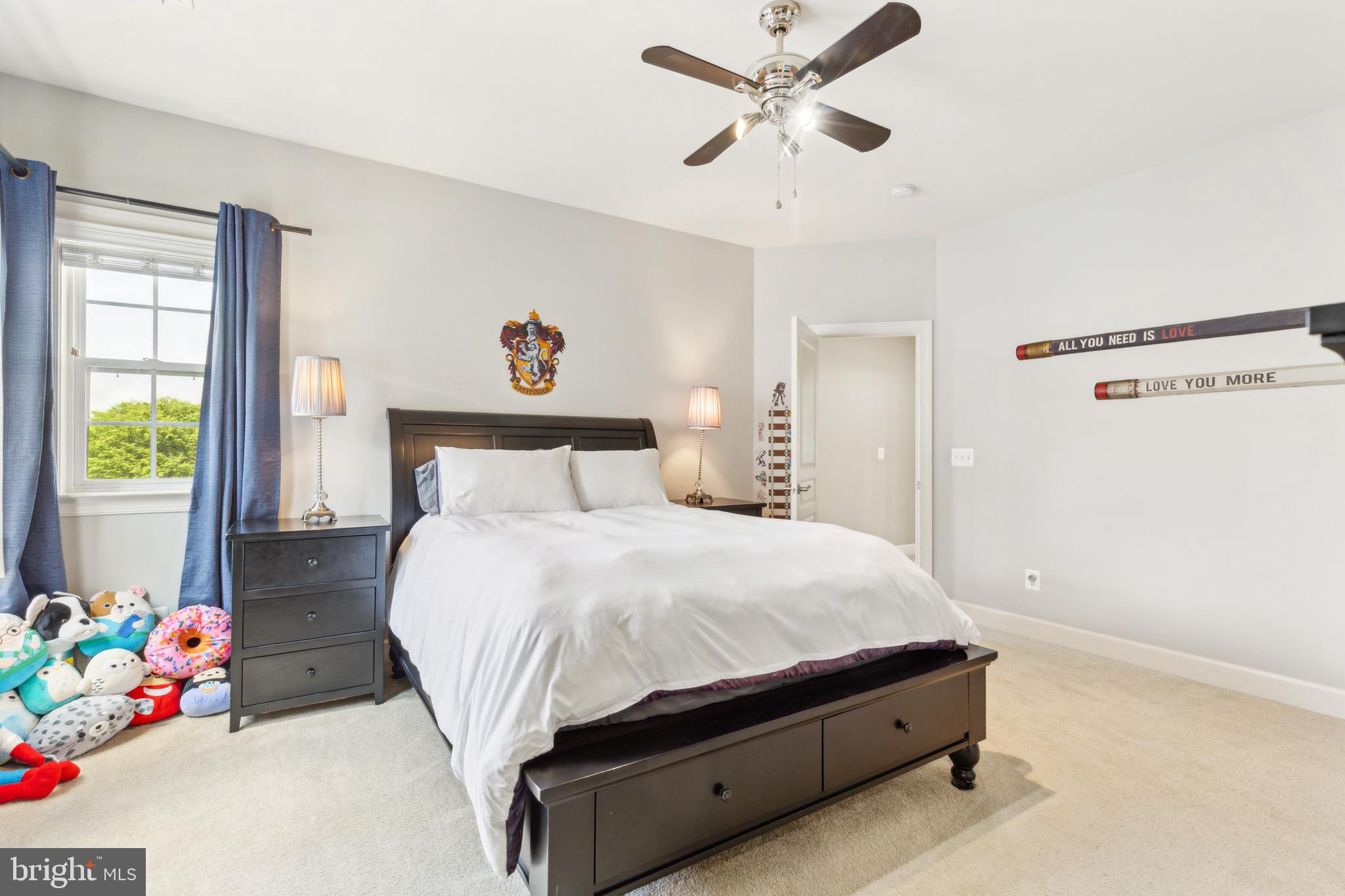 GREENE MILL PRESERVE - Residential