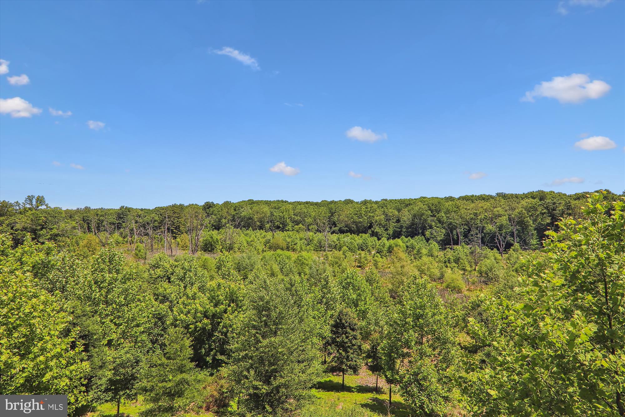 POPLAR RUN - Residential