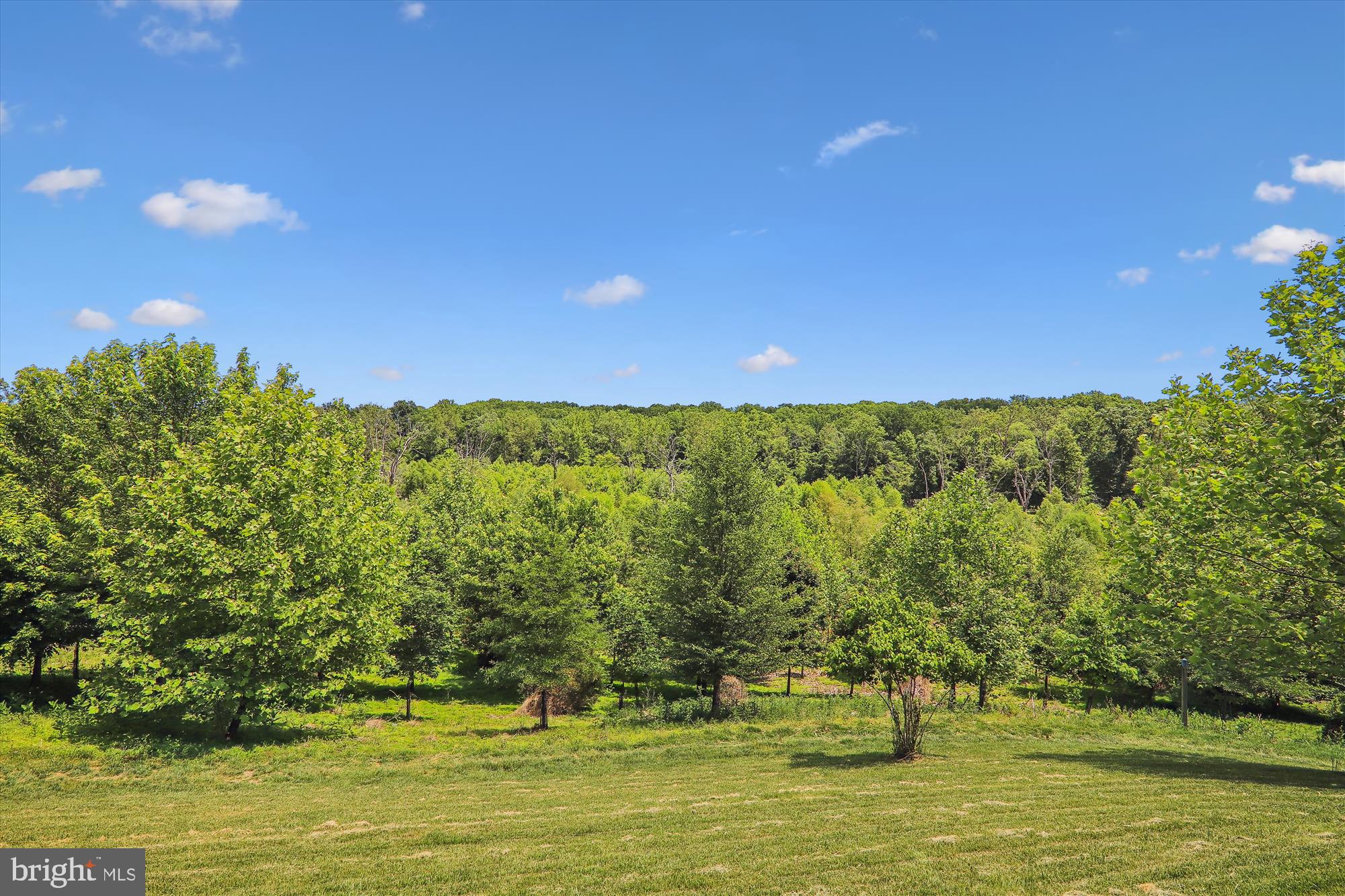 POPLAR RUN - Residential