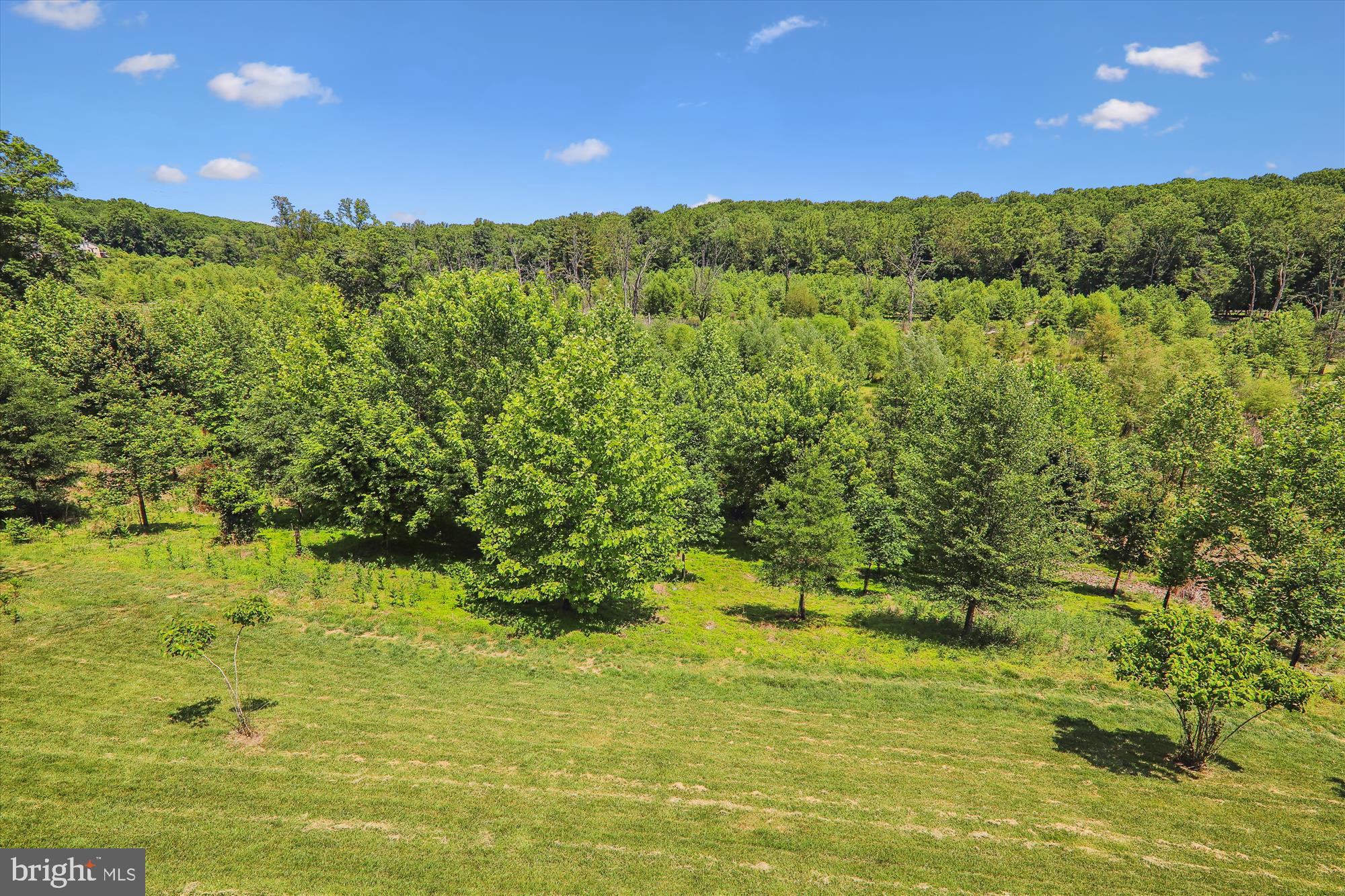 POPLAR RUN - Residential