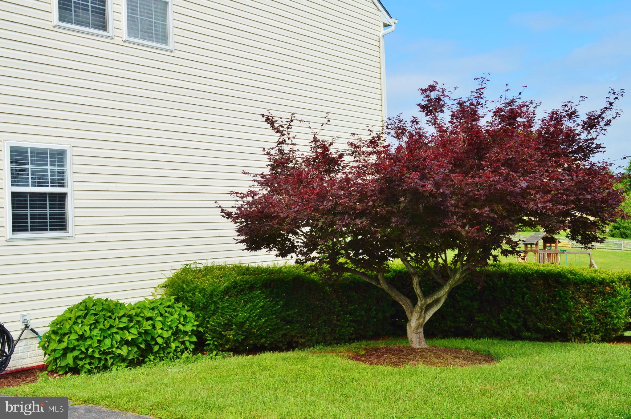 MEADOW BROOK - Residential