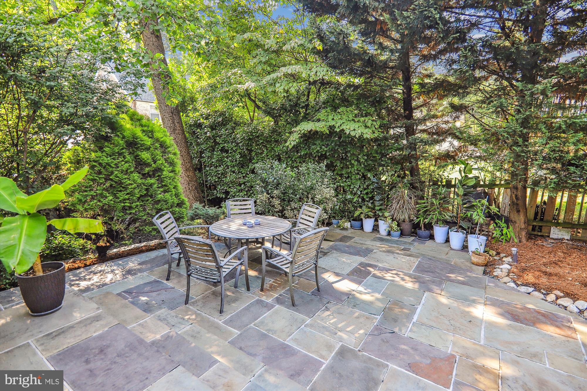 CHEVY CHASE - Residential