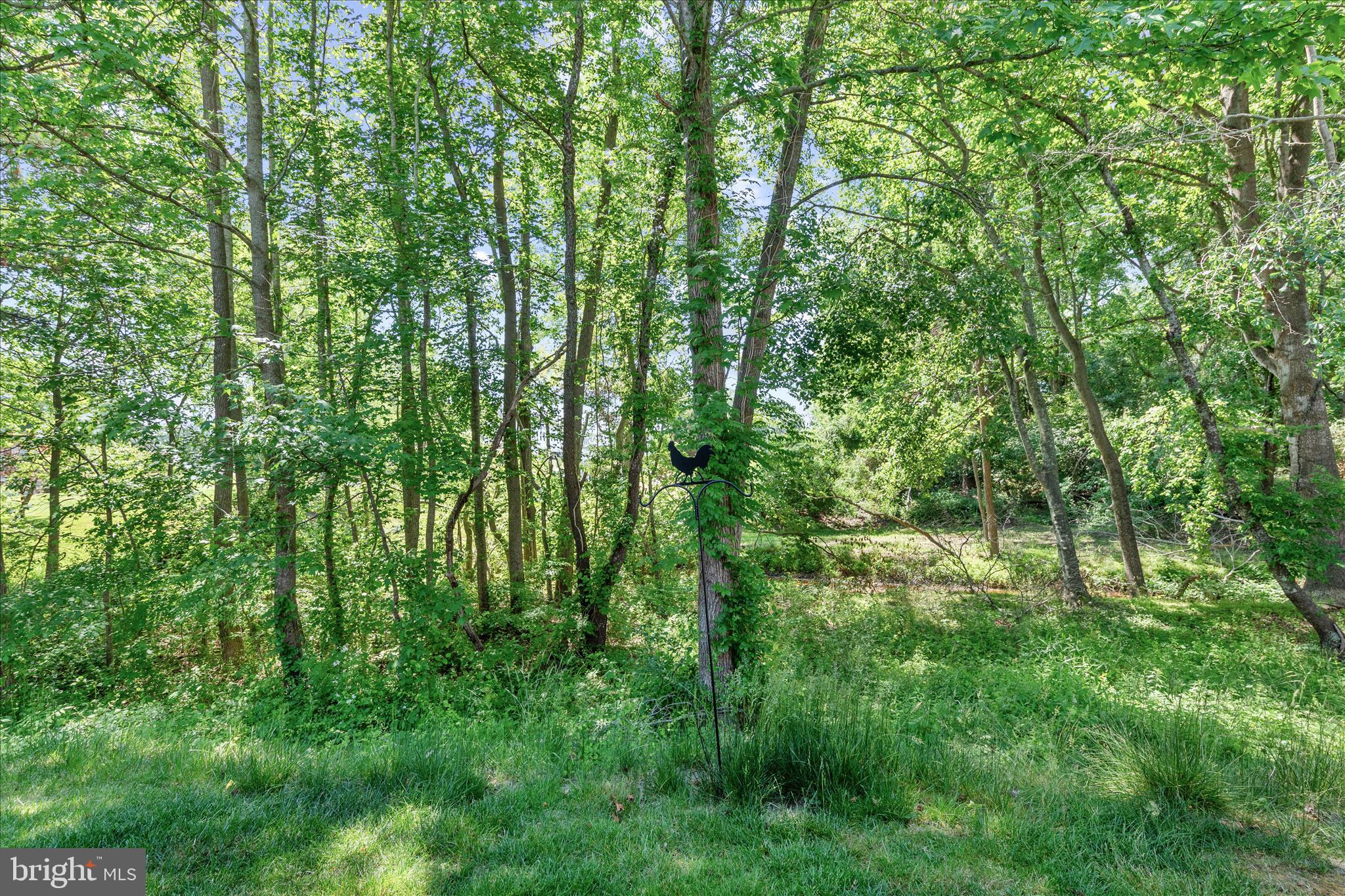 29212 SHADY CREEK LANE