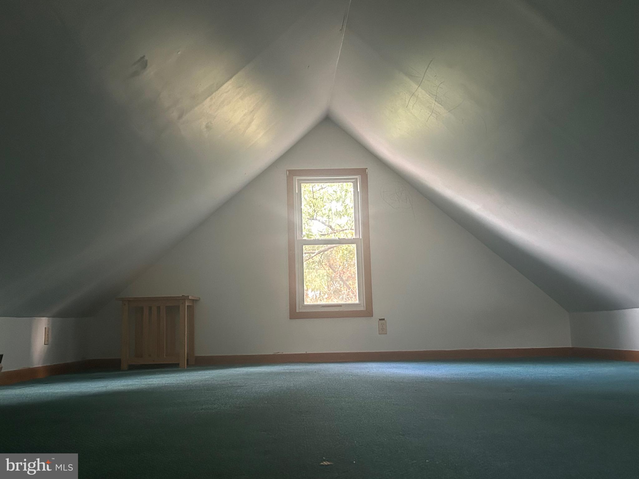 MOUNT RAINIER - Residential