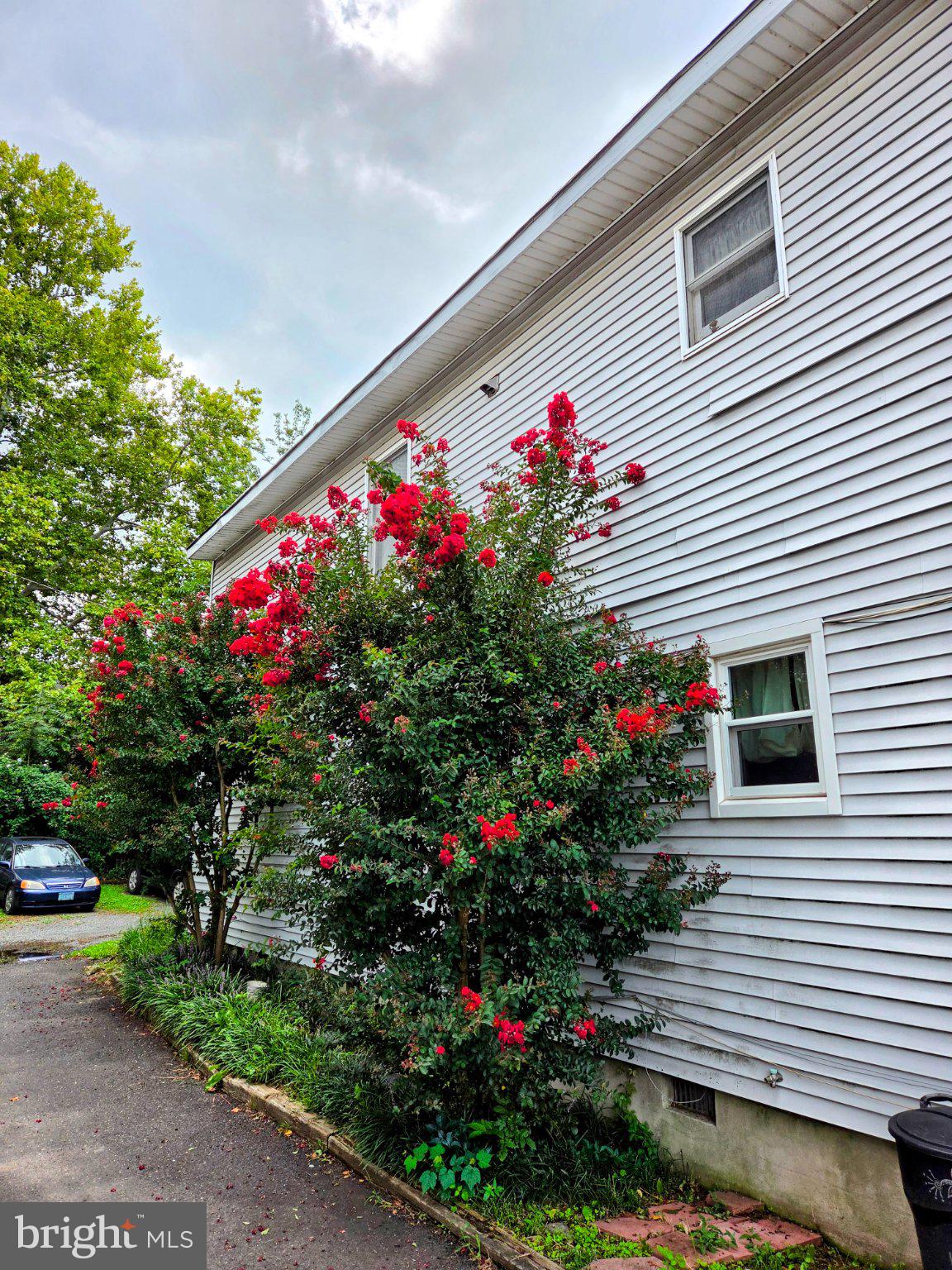 55 SUMMER STREET D