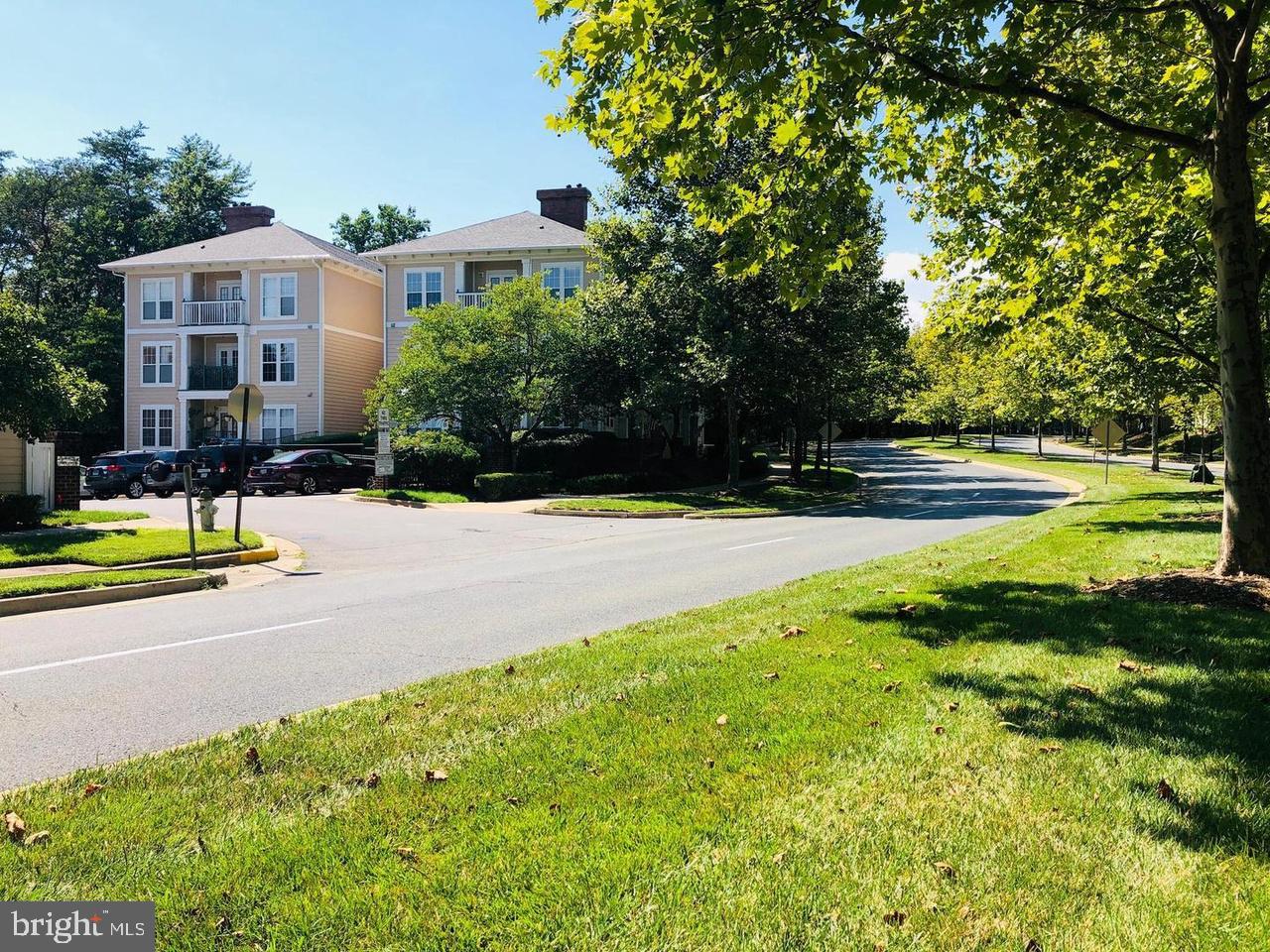 KENTLANDS - Residential Lease