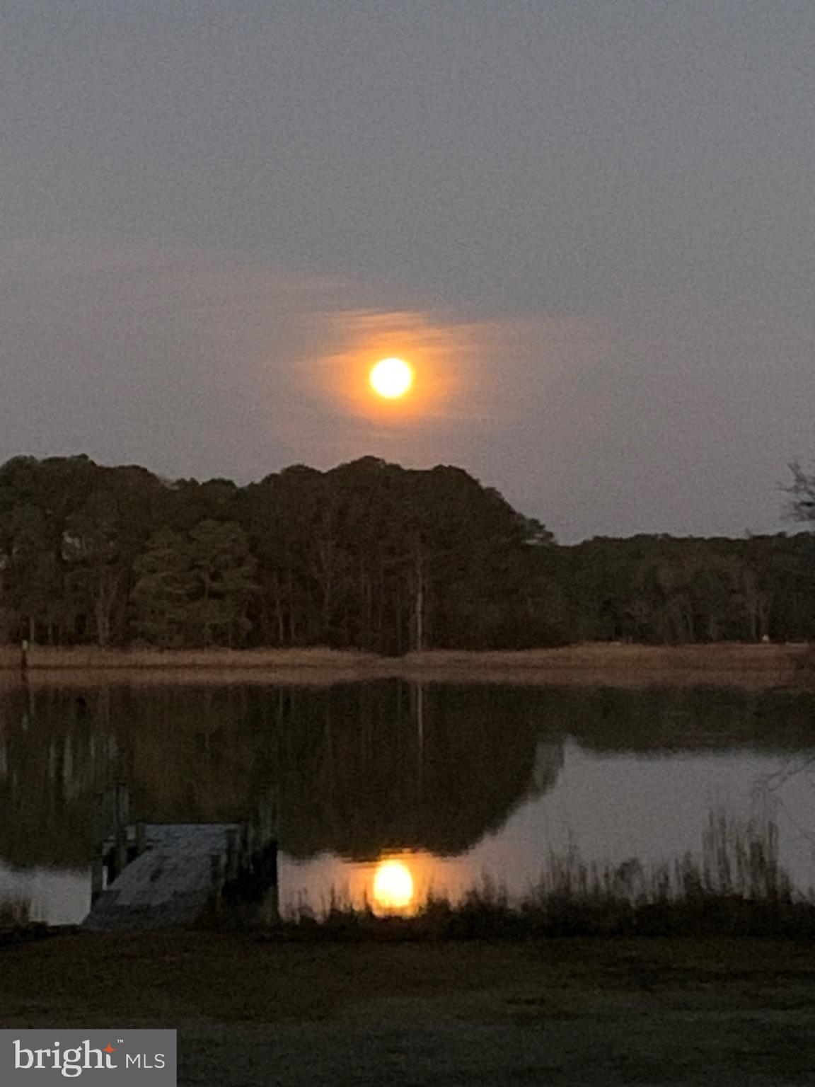 WAVERLY - Residential