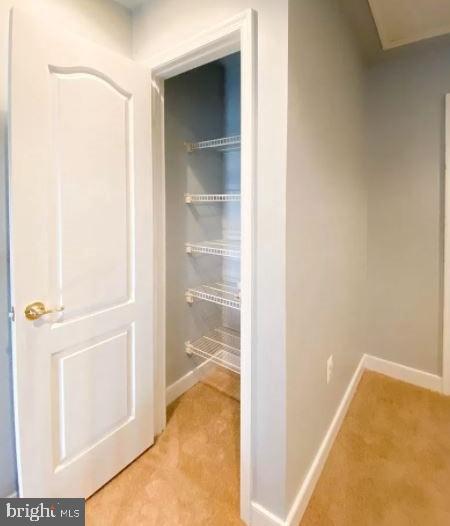 TRENTDALE - Residential