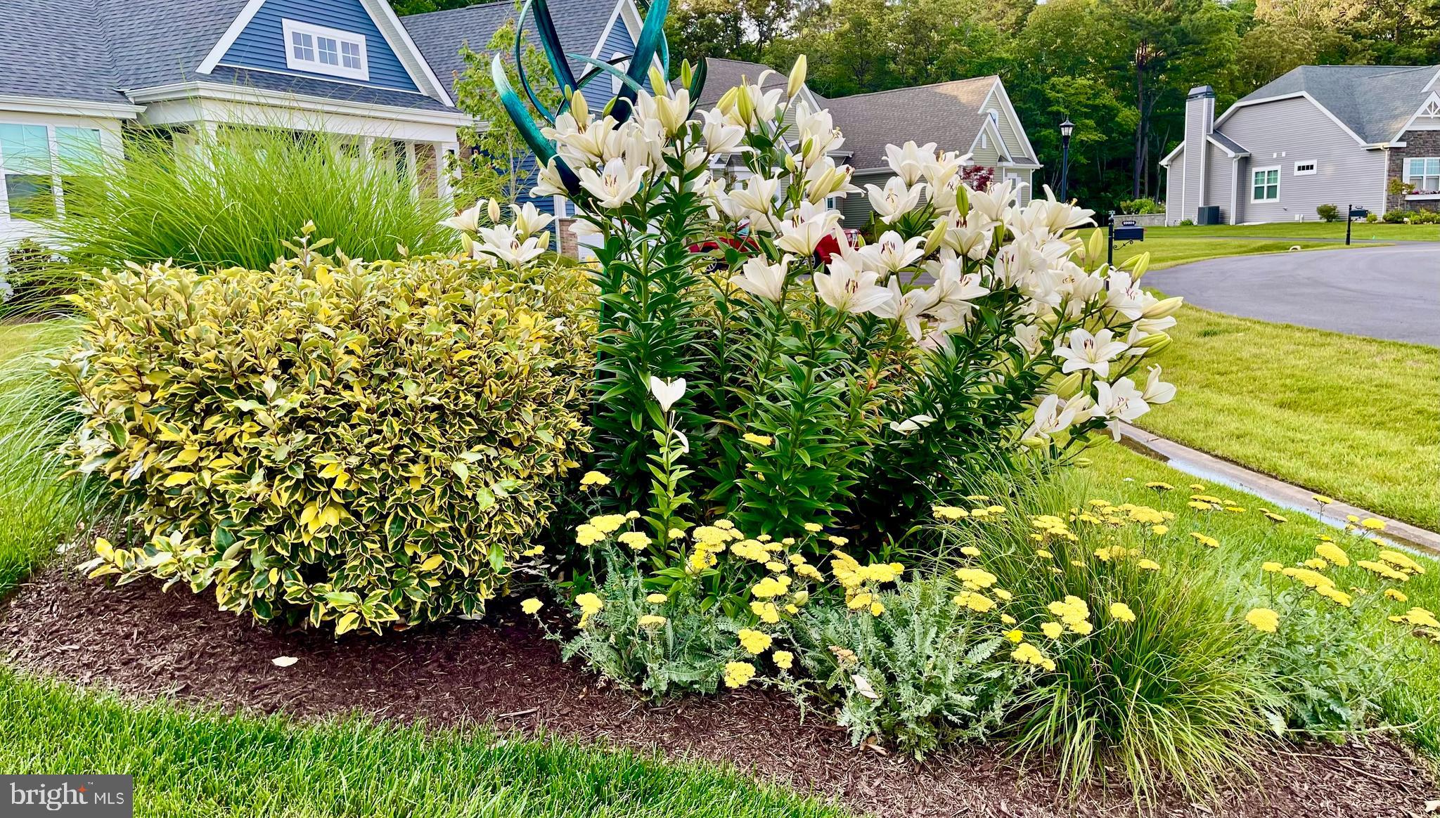 INDEPENDENCE - Residential